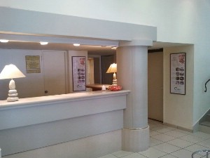 ���� C ���� ����� ����� - ������ - ������